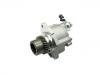 Bomba de vacío, sistema de frenado Vacuum Pump, Brake System:29300-67020